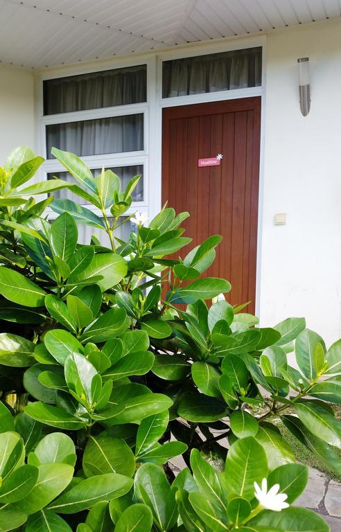 Fare Suisse Tahiti - Guesthouse パペーテ エクステリア 写真